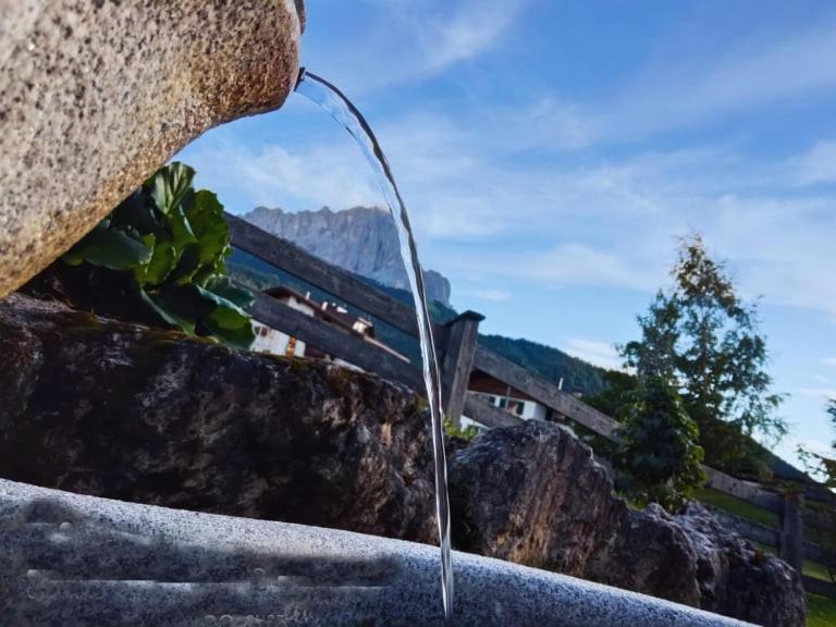 Garni Hotel Iris Selva di Val Gardena Bagian luar foto
