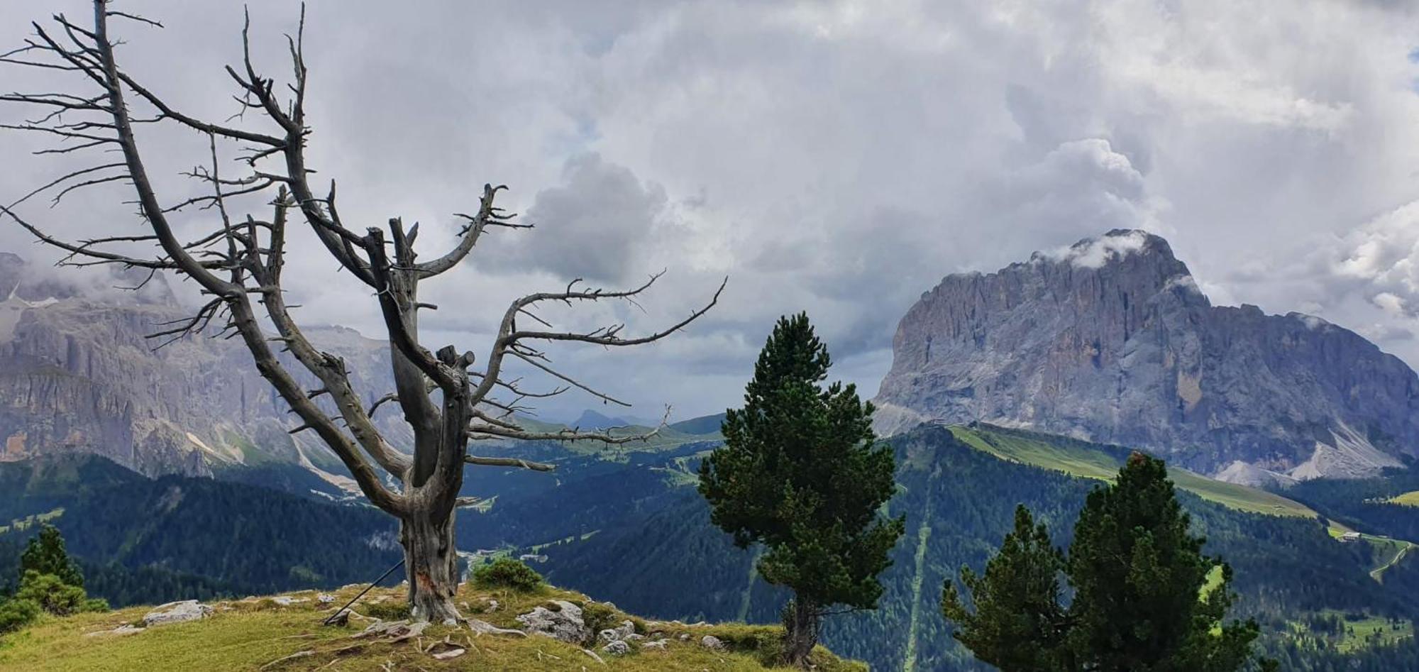 Garni Hotel Iris Selva di Val Gardena Bagian luar foto