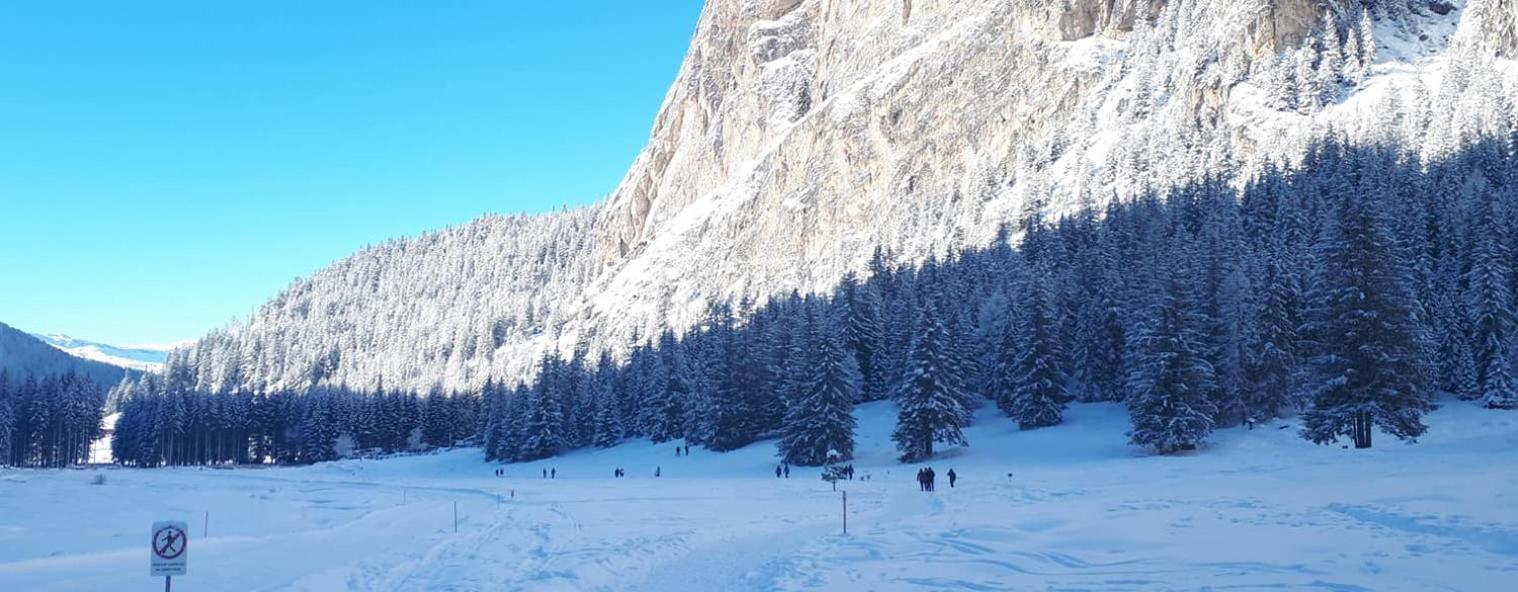 Garni Hotel Iris Selva di Val Gardena Bagian luar foto