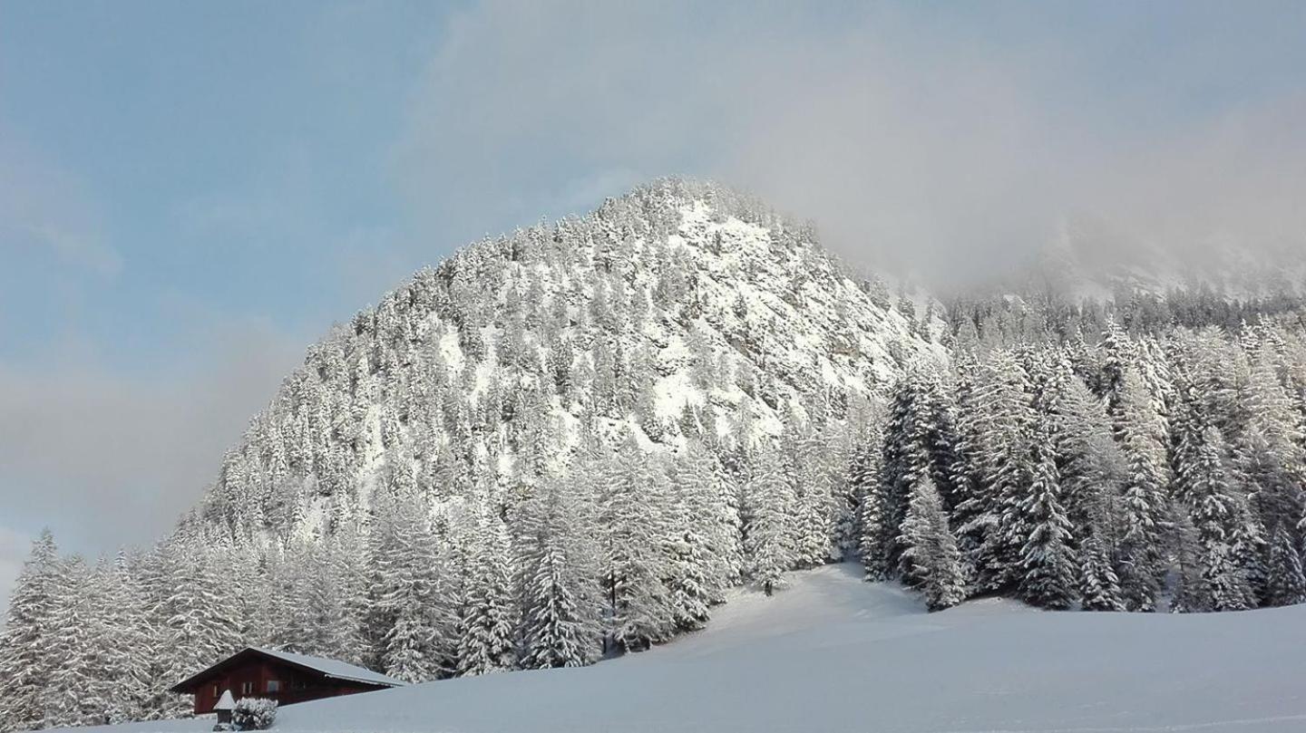 Garni Hotel Iris Selva di Val Gardena Bagian luar foto