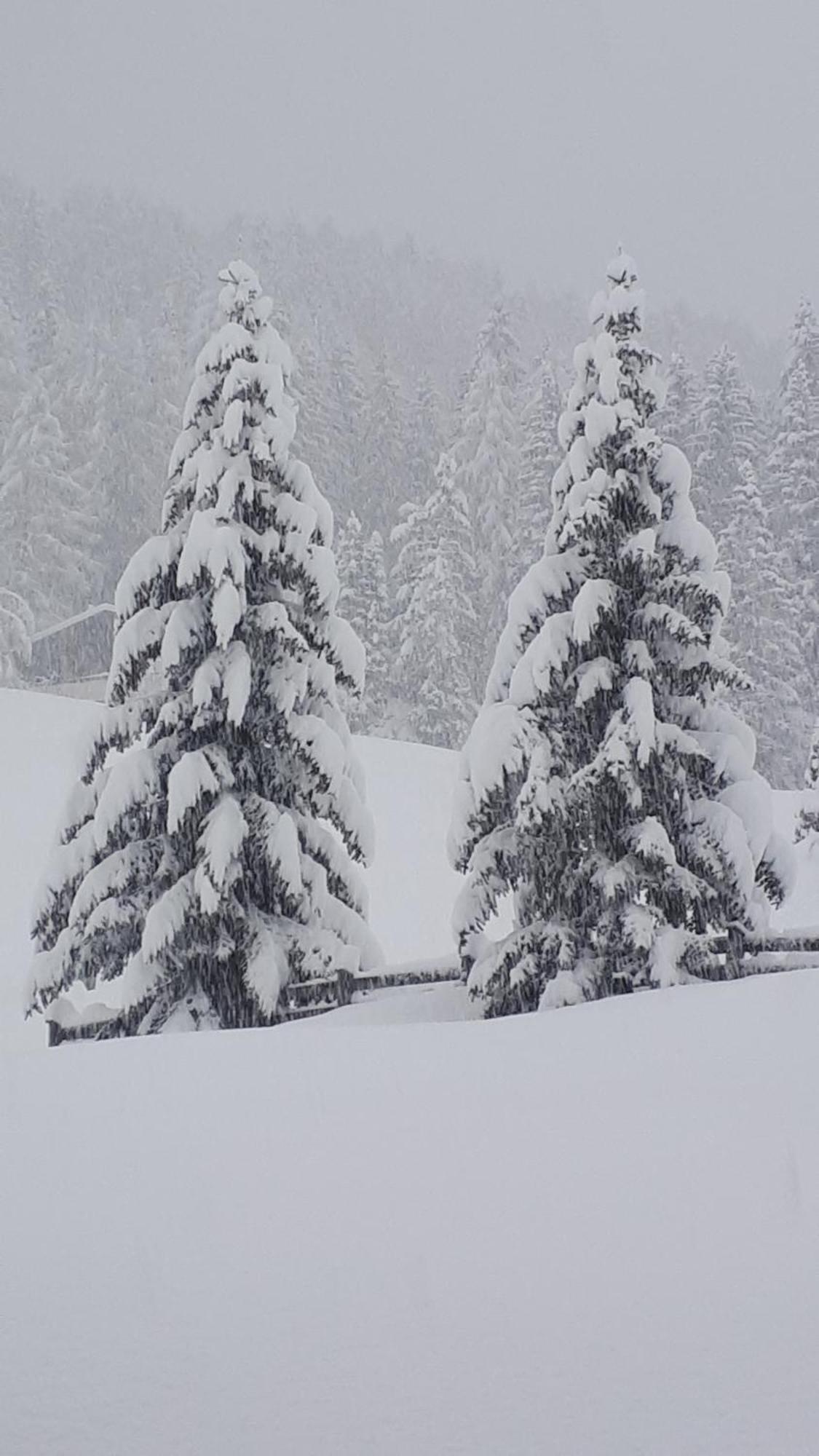 Garni Hotel Iris Selva di Val Gardena Bagian luar foto