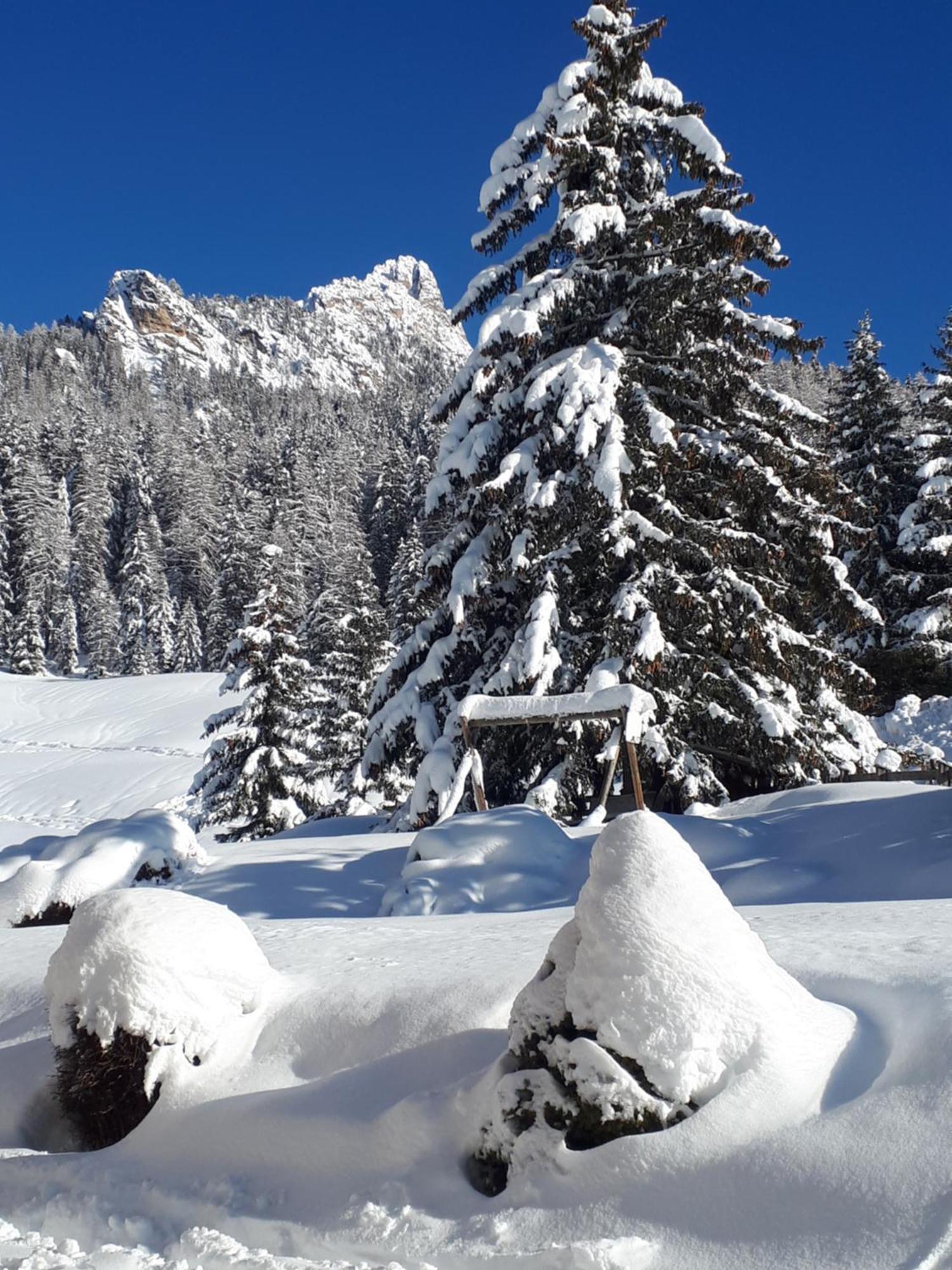 Garni Hotel Iris Selva di Val Gardena Bagian luar foto