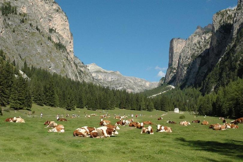 Garni Hotel Iris Selva di Val Gardena Bagian luar foto